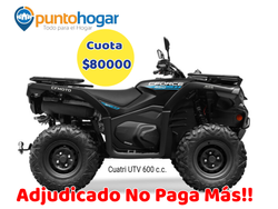 Cuatriciclo UTV 600 c.c.