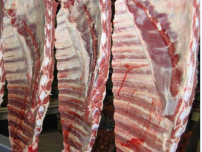 COSTILLARES VACUNOS ENTEROS