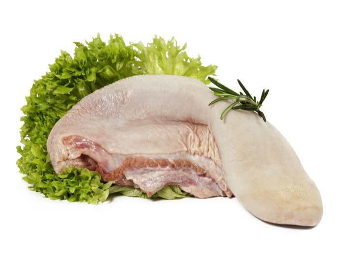 Lengua