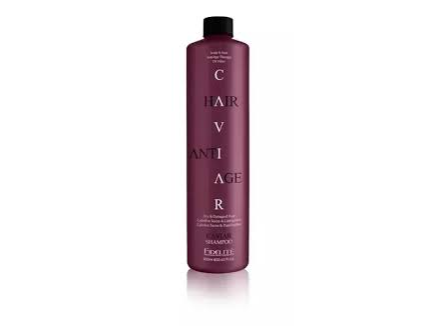 SHAMPOO SECO & CASTIGADO 900 ML.