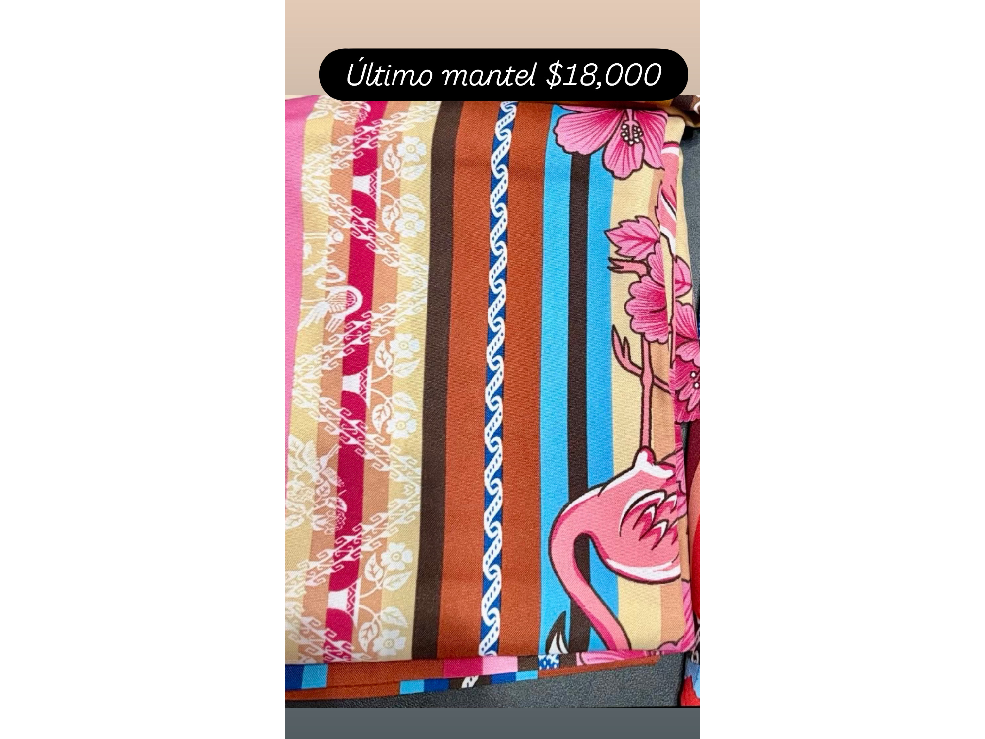 Mantel Aguayo
