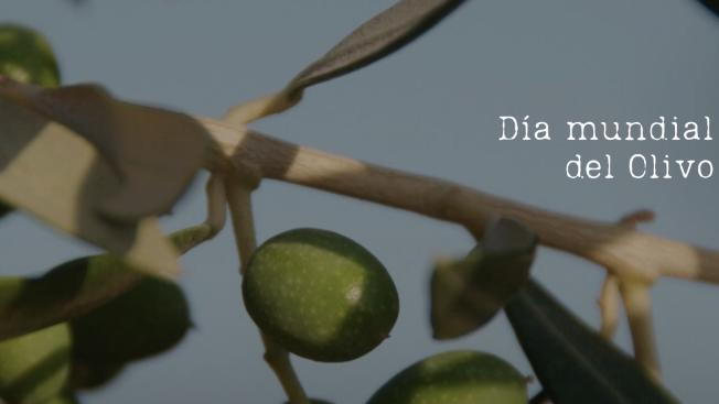 ACEITES DE OLIVA, SALSA DE SOJA y ACETOS