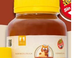 Miel Pura Env. Pet 900gs (Monte o Pradera)