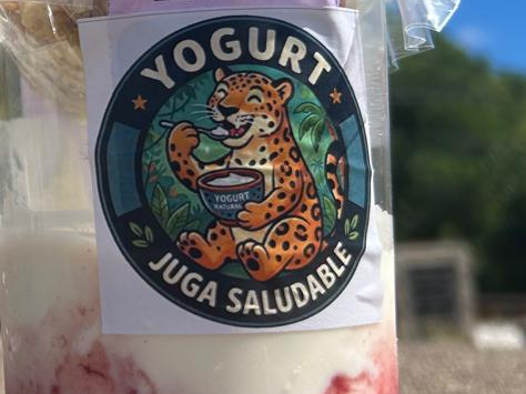 Yogurt Natural Estilo Griego X 400 gr