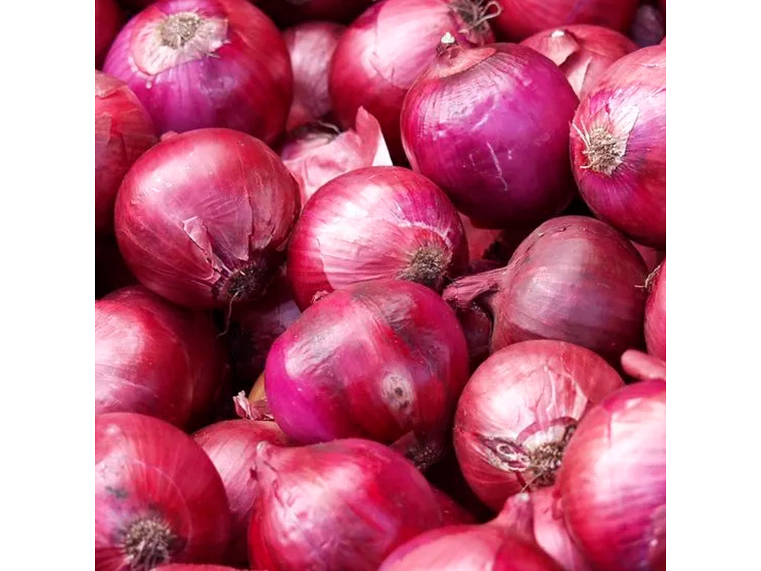 CEBOLLA MORADA
