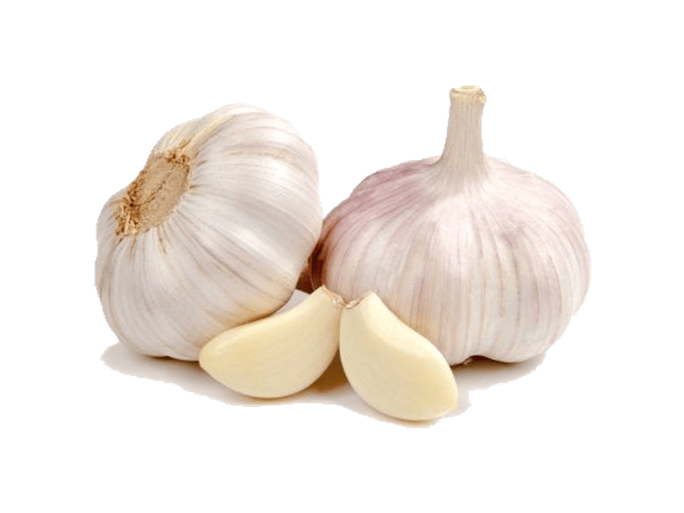 CABEZA DE AJO