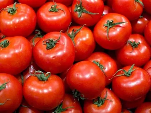 TOMATE REDONDO