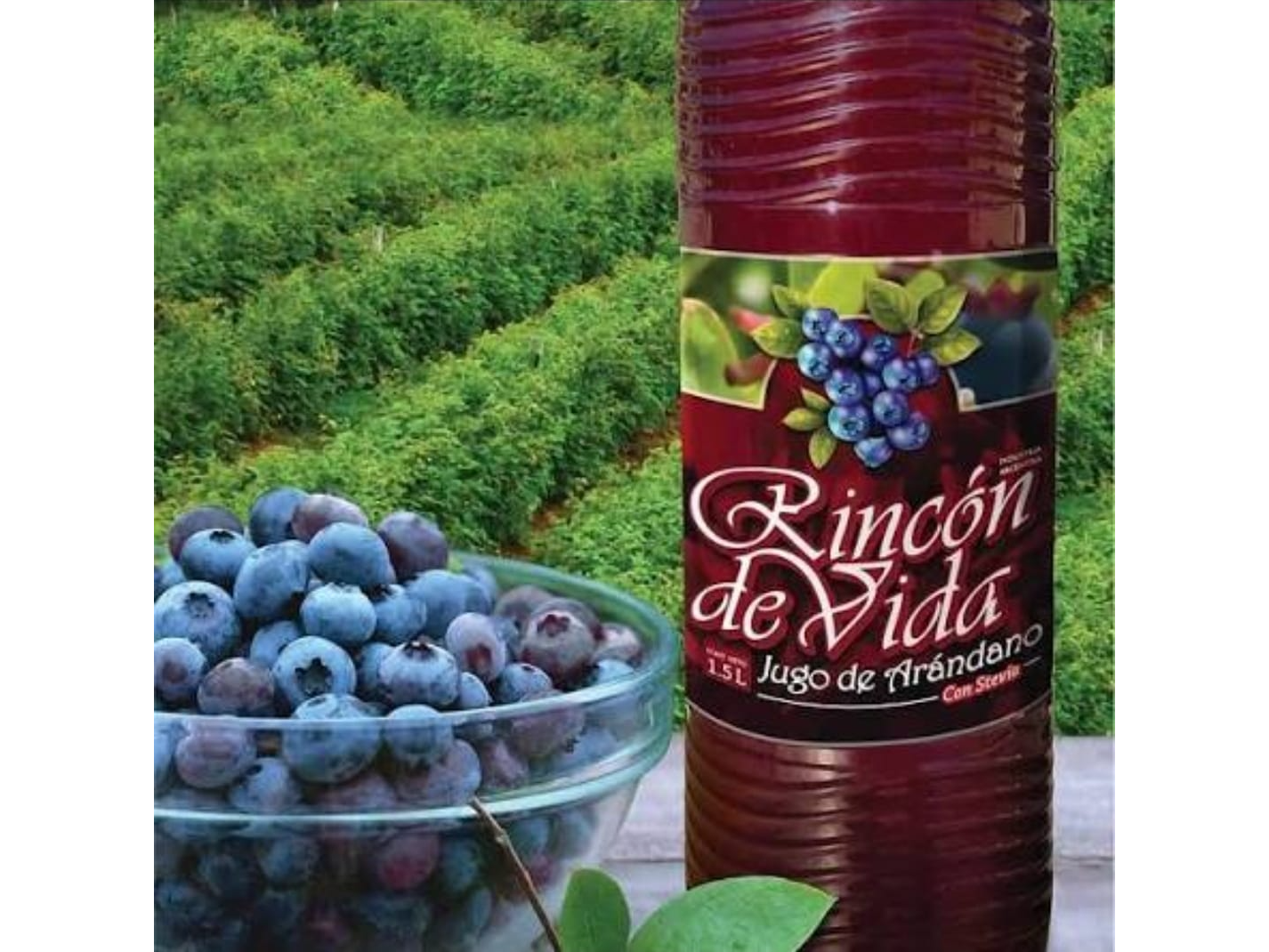 JUGO DE ARANDANOS C/ CHIA X 1.5 L "RINCON DE VIDA"