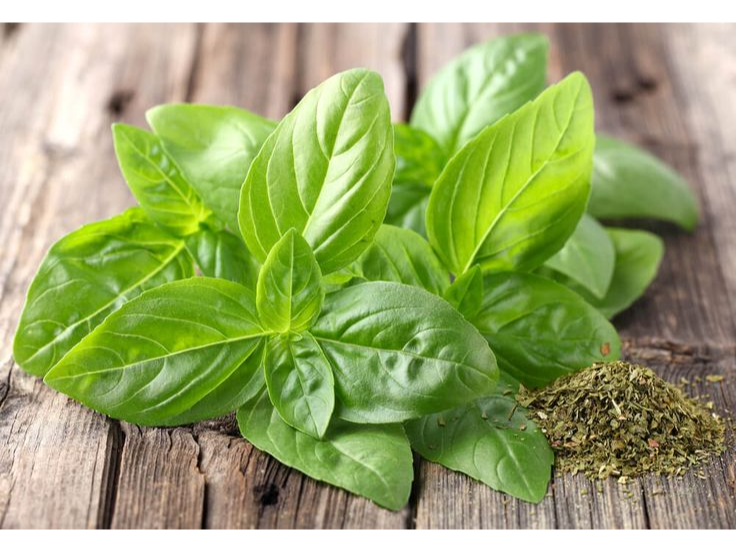 ALBAHACA