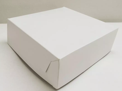 BLANCO SIN VISOR