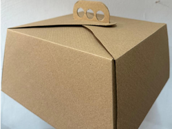 MALETIN MICROCORRUGADO