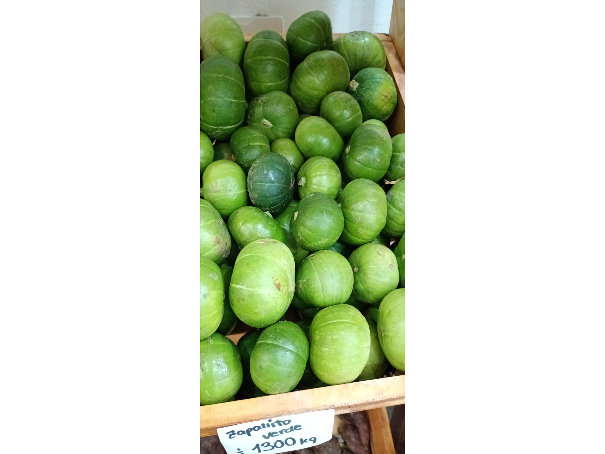 Zapallito verde