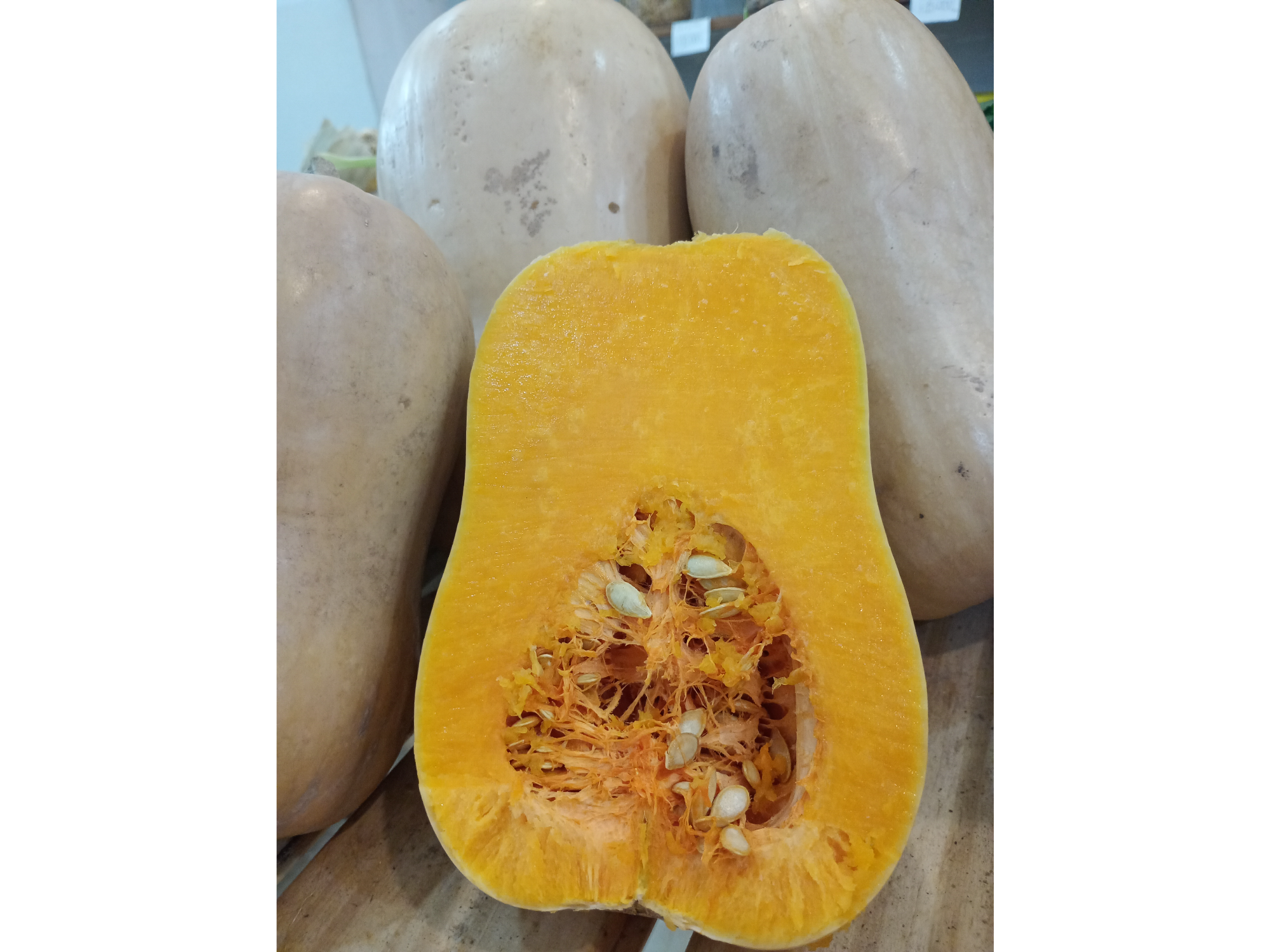 Calabacin