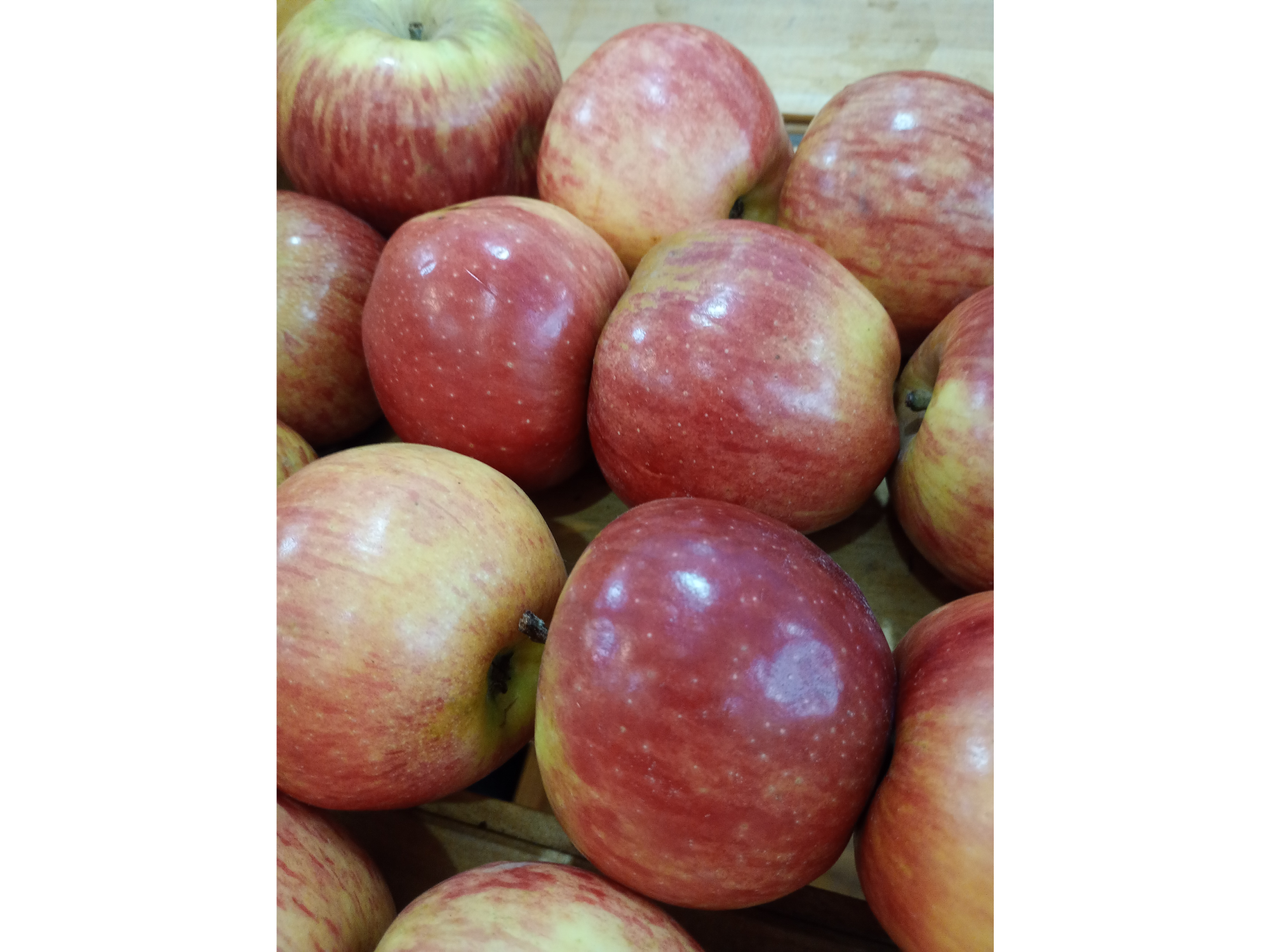Manzana