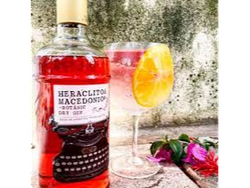 Gin tonic heraclito macedonia
