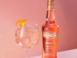 Gancia hibiscus spritz