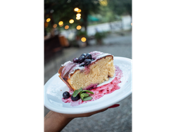 BUDIN DE LIMON Y ARANDANOS