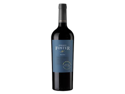 Enrique Foster Los Barrancos Malbec
