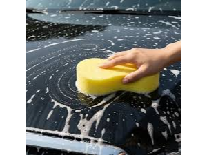 ESPONJA AUTO GRANDE