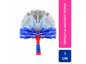 ESCOBA LIMPIA TECHOS