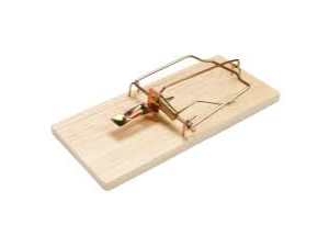 trampa para rata de madera