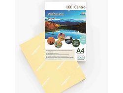 Papel Lee Centro