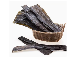 Alga Kombu