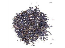 Flor Lavanda