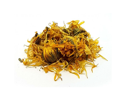 Flor calendula