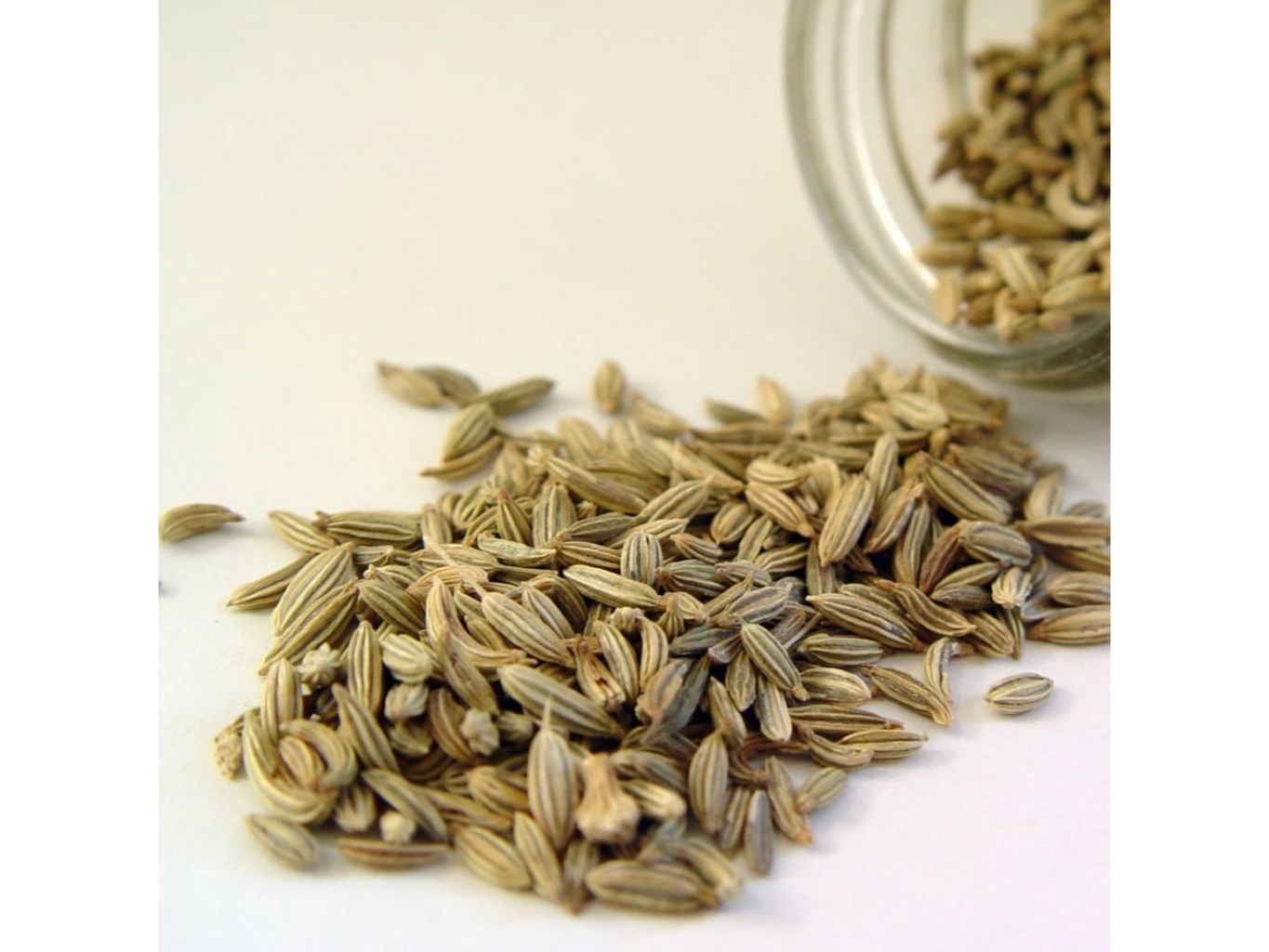 Semillas Hinojo
