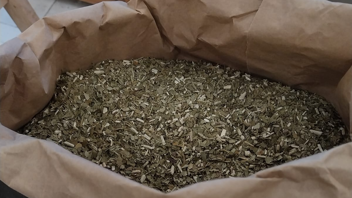 Yerbas
