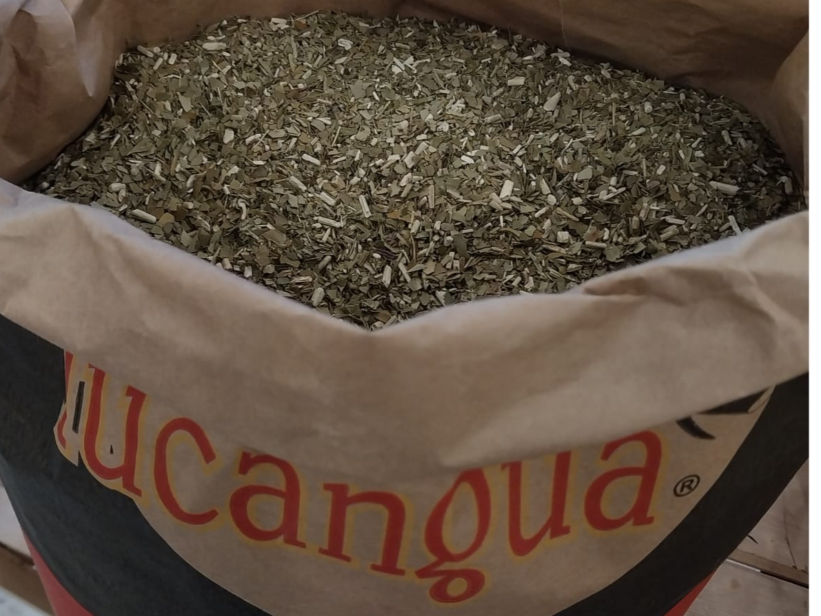 Yerba Tucangua
