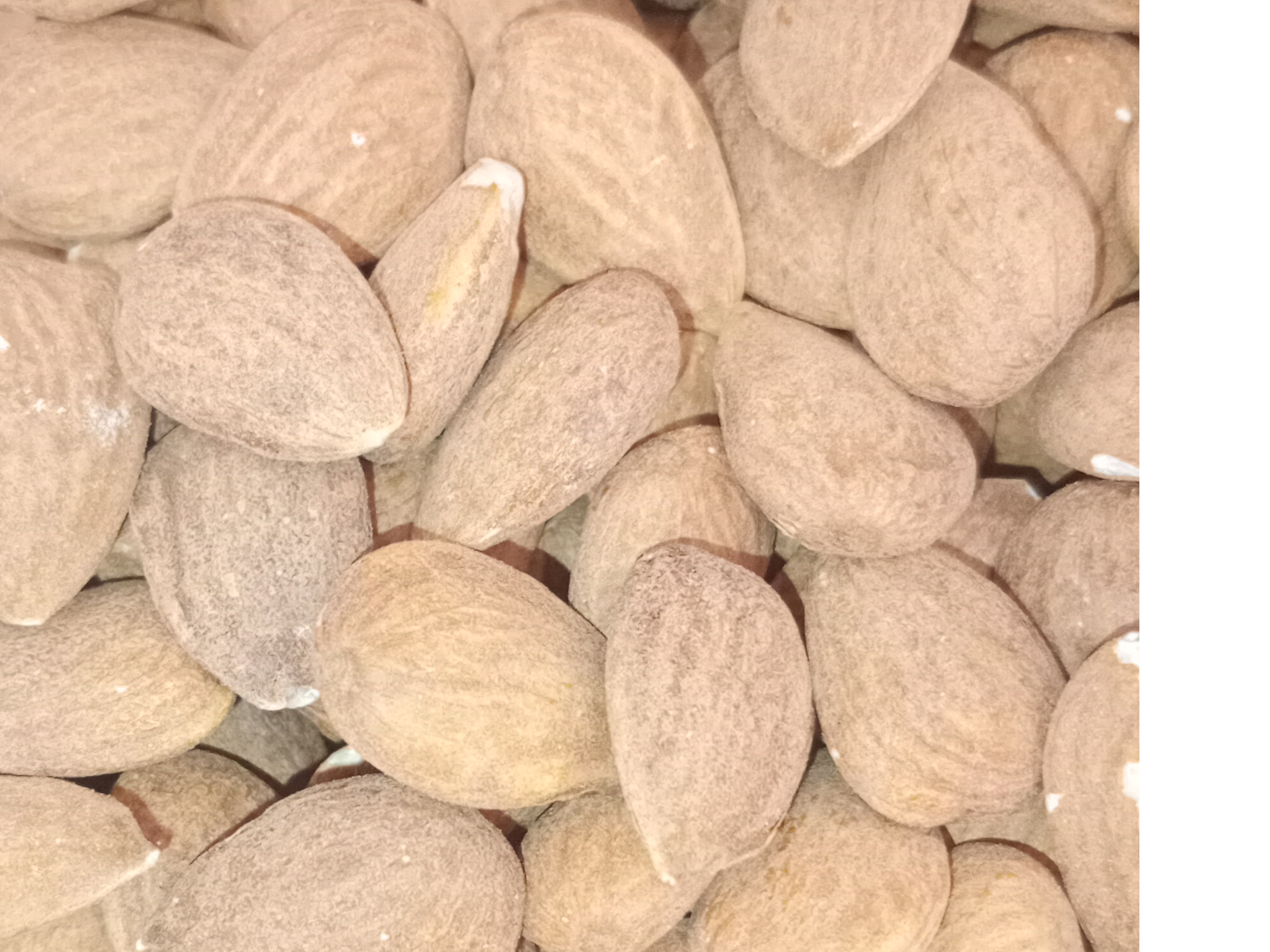 ALMENDRA