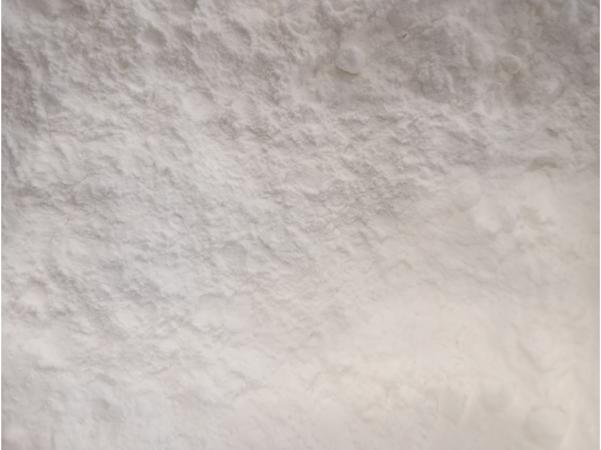 Leche de coco en polvo