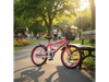 Bicicleta Dencar Paseo Infantil Rodado 18 V-brakes Canasto (Nena)