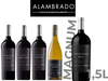 ALAMBRADO