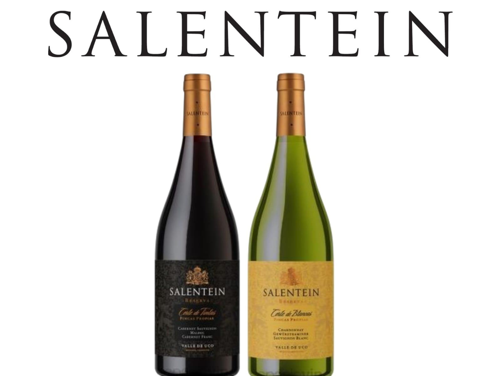 SALENTEIN Cortes Blend