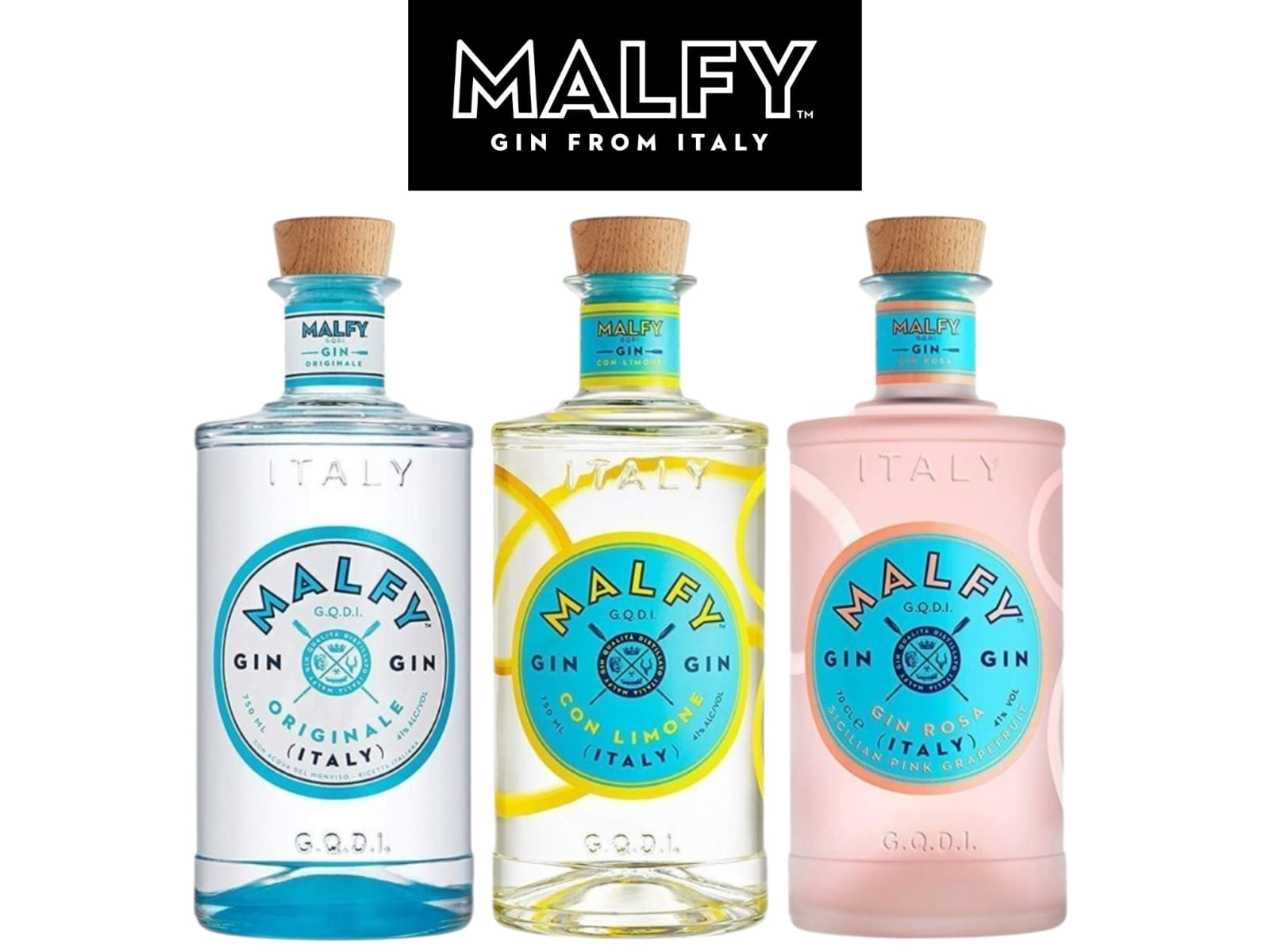 Gin MALFY  Italiano