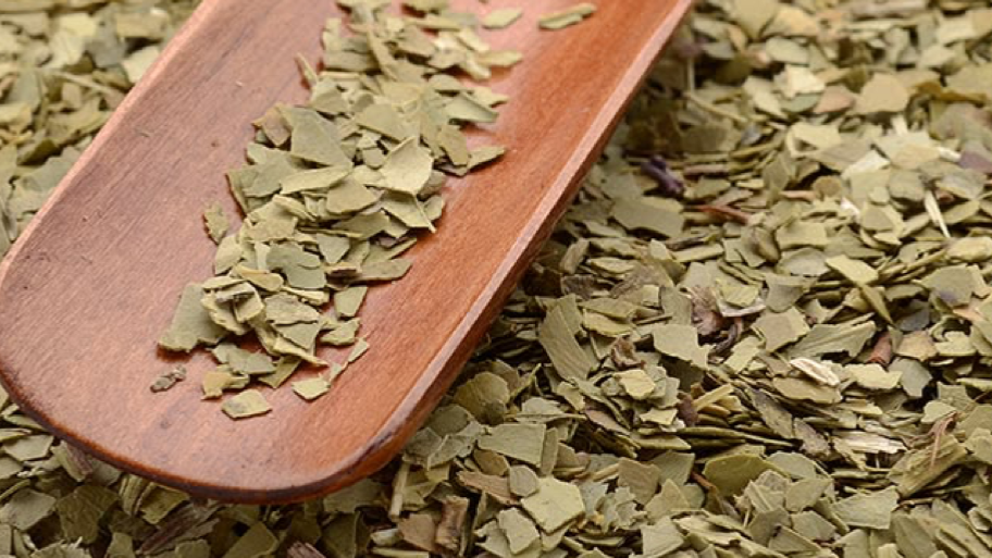 YERBA