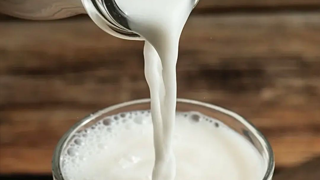 LECHE