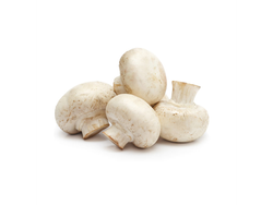 HONGO CHAMPIÑON x 200G