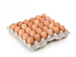 MAPLE COLOR MEDIANO 2KG