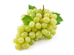 UVA BLANCA S/Semilla