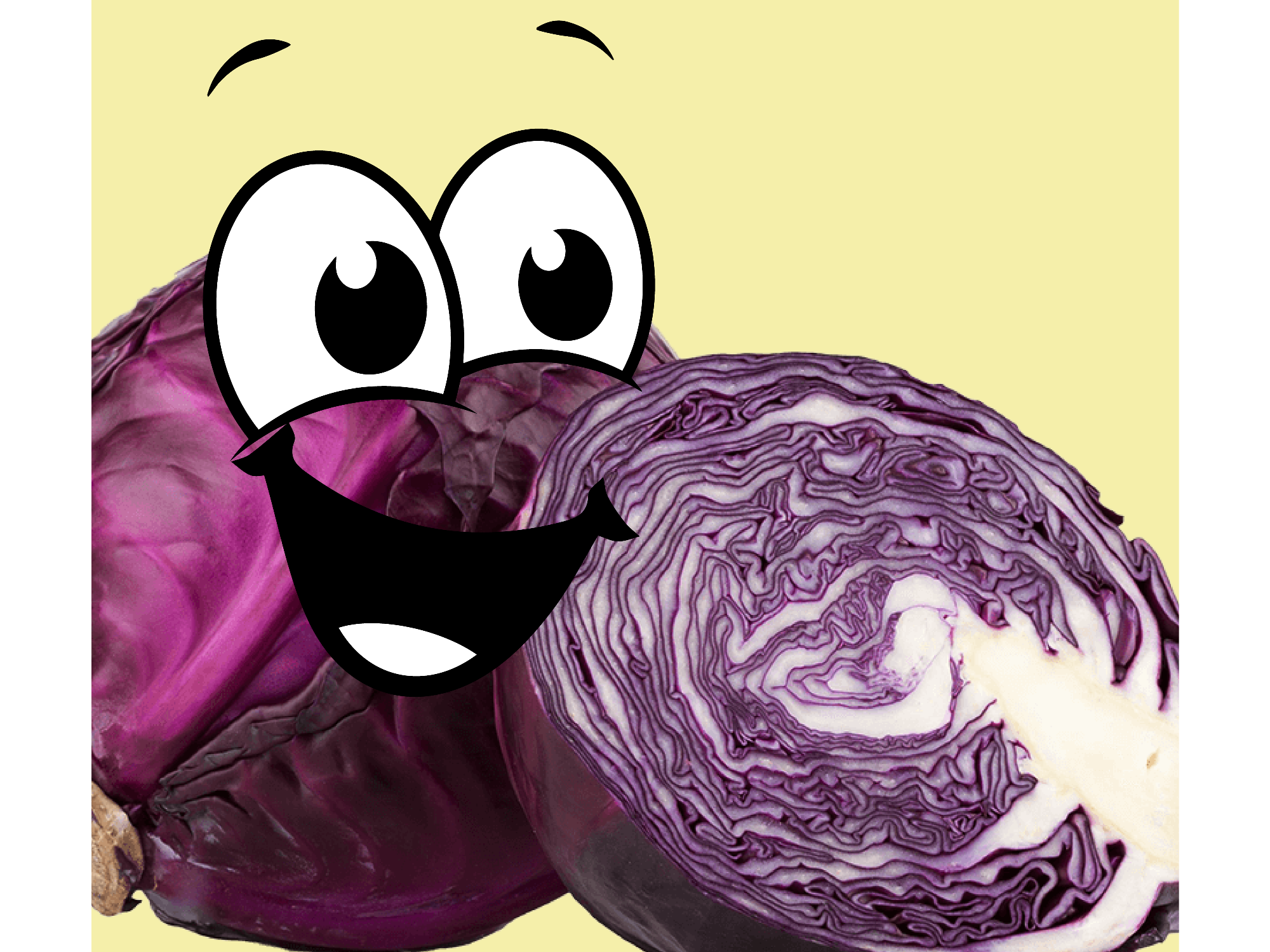 REPOLLO MORADO RALLADO x 200 Gr