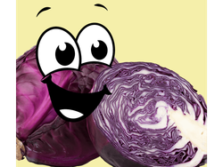 REPOLLO MORADO RALLADO x 200 Gr