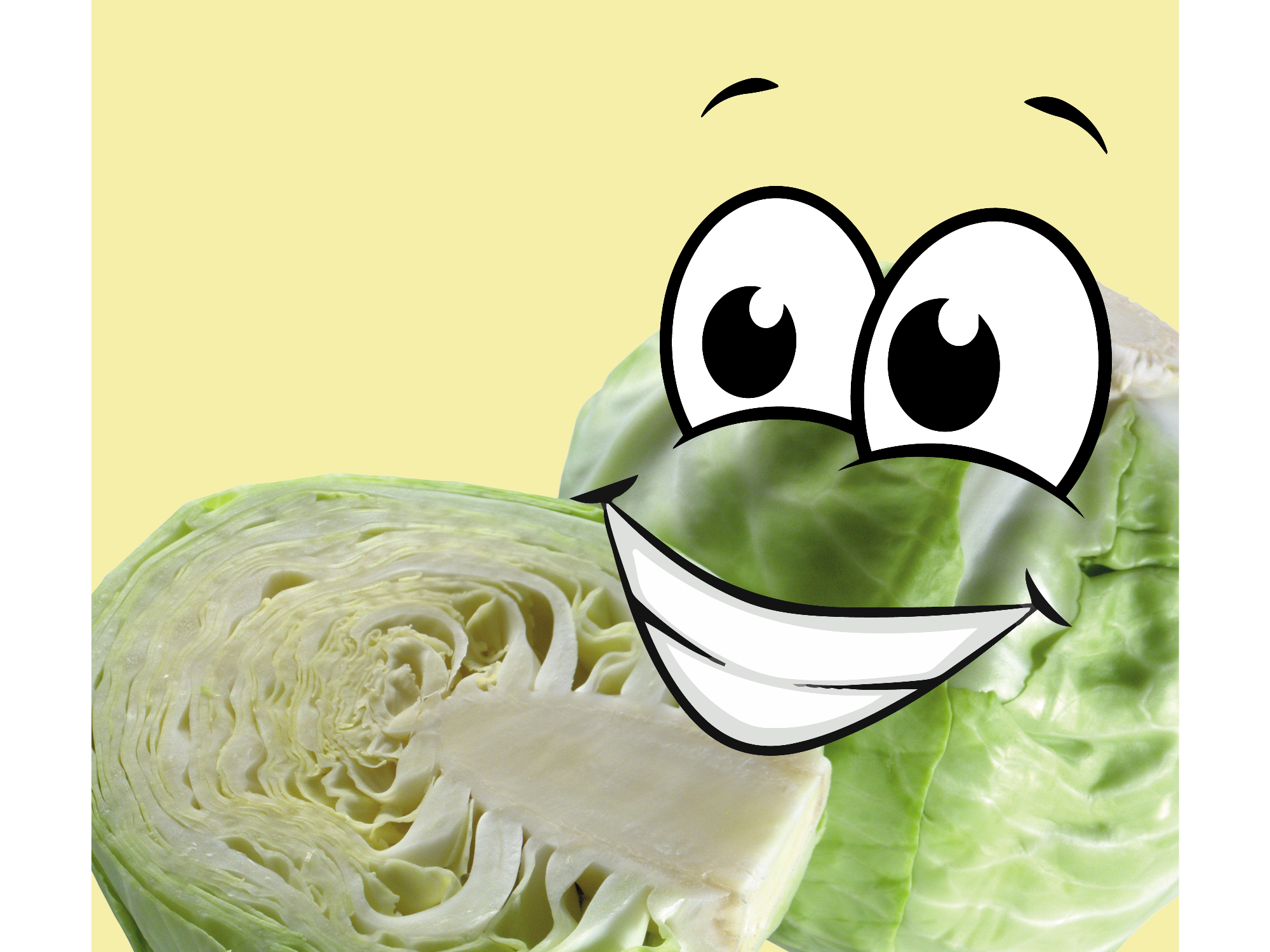 REPOLLO BLANCO - RALLADO x 200 Gr