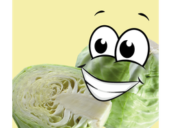 REPOLLO BLANCO - RALLADO x 200 Gr