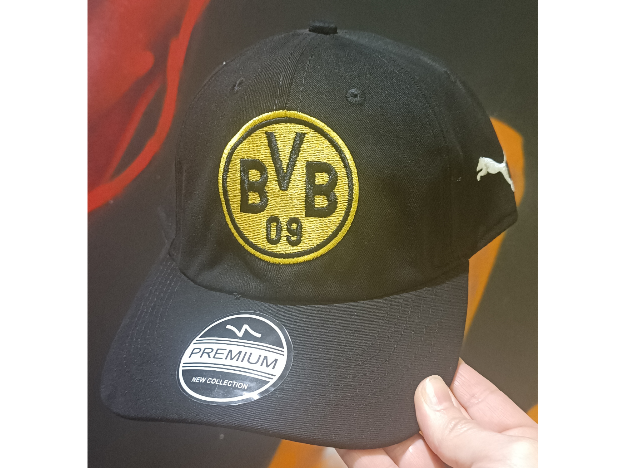 BVB19