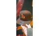 Plana LA 48