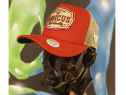 Indicus 72